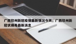 广西钦州新冠疫情最新情况今天，广西钦州新冠状病毒最新消息