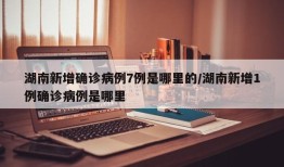 湖南新增确诊病例7例是哪里的/湖南新增1例确诊病例是哪里