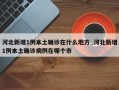 河北新增1例本土确诊在什么地方_河北新增1例本土确诊病例在哪个市