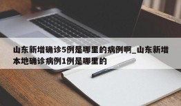 山东新增确诊5例是哪里的病例啊_山东新增本地确诊病例1例是哪里的