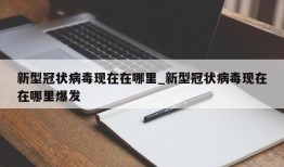 新型冠状病毒现在在哪里_新型冠状病毒现在在哪里爆发