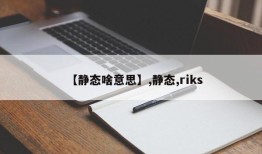 【静态啥意思】,静态,riks