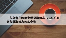 广东高考在哪里查看录取状态_2021广东高考录取状态怎么查询