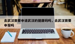 去武汉需要申请武汉的健康码吗，去武汉需要申报吗