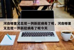 河南哪里又出现一例新冠病毒了呢，河南哪里又出现一例新冠病毒了呢今天