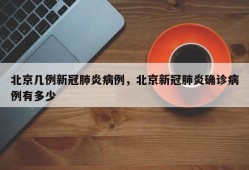 北京几例新冠肺炎病例，北京新冠肺炎确诊病例有多少