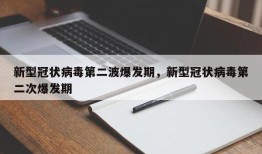 新型冠状病毒第二波爆发期，新型冠状病毒第二次爆发期