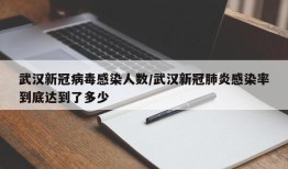 武汉新冠病毒感染人数/武汉新冠肺炎感染率到底达到了多少