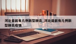 河北目前有几例新型肺炎_河北目前有几例新型肺炎疫情