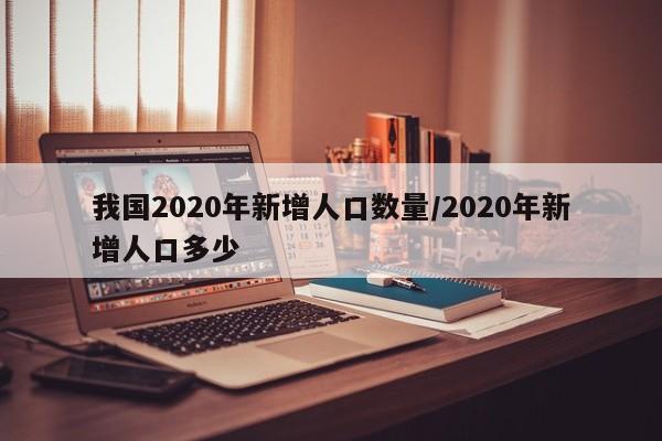 我国2020年新增人口数量/2020年新增人口多少