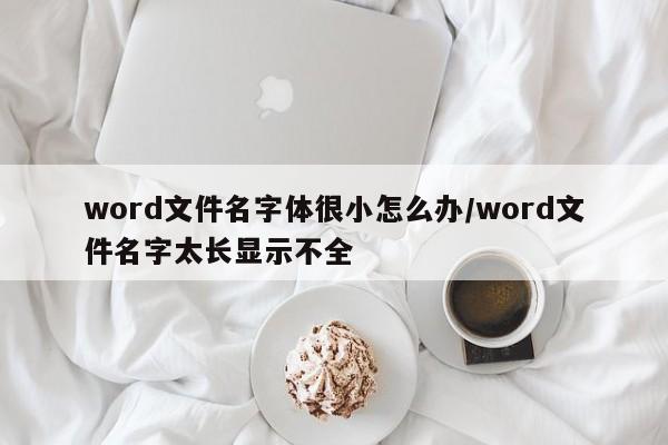 word文件名字体很小怎么办/word文件名字太长显示不全