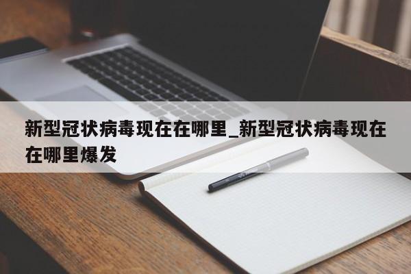 新型冠状病毒现在在哪里_新型冠状病毒现在在哪里爆发